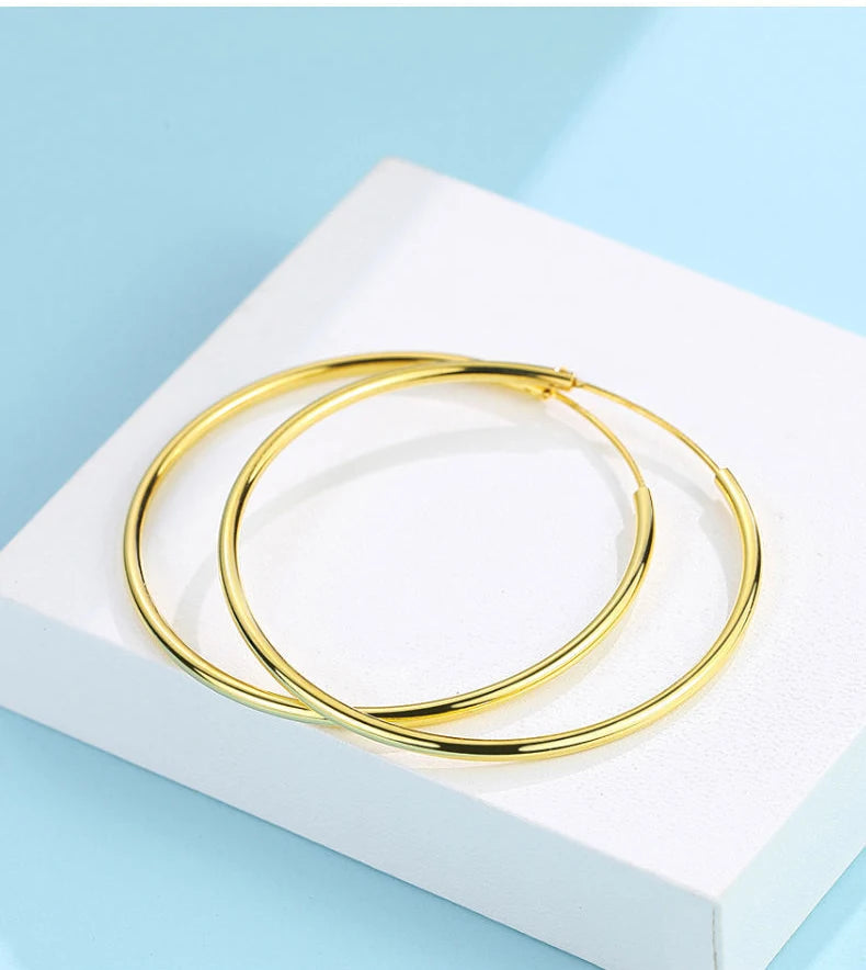 Classic Circle Hoop Earrings For Women