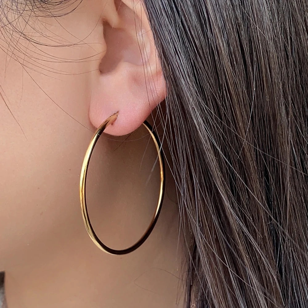 Classic Circle Hoop Earrings For Women